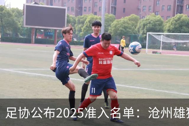 足协公布2025准入名单：沧州雄狮、广州队无缘